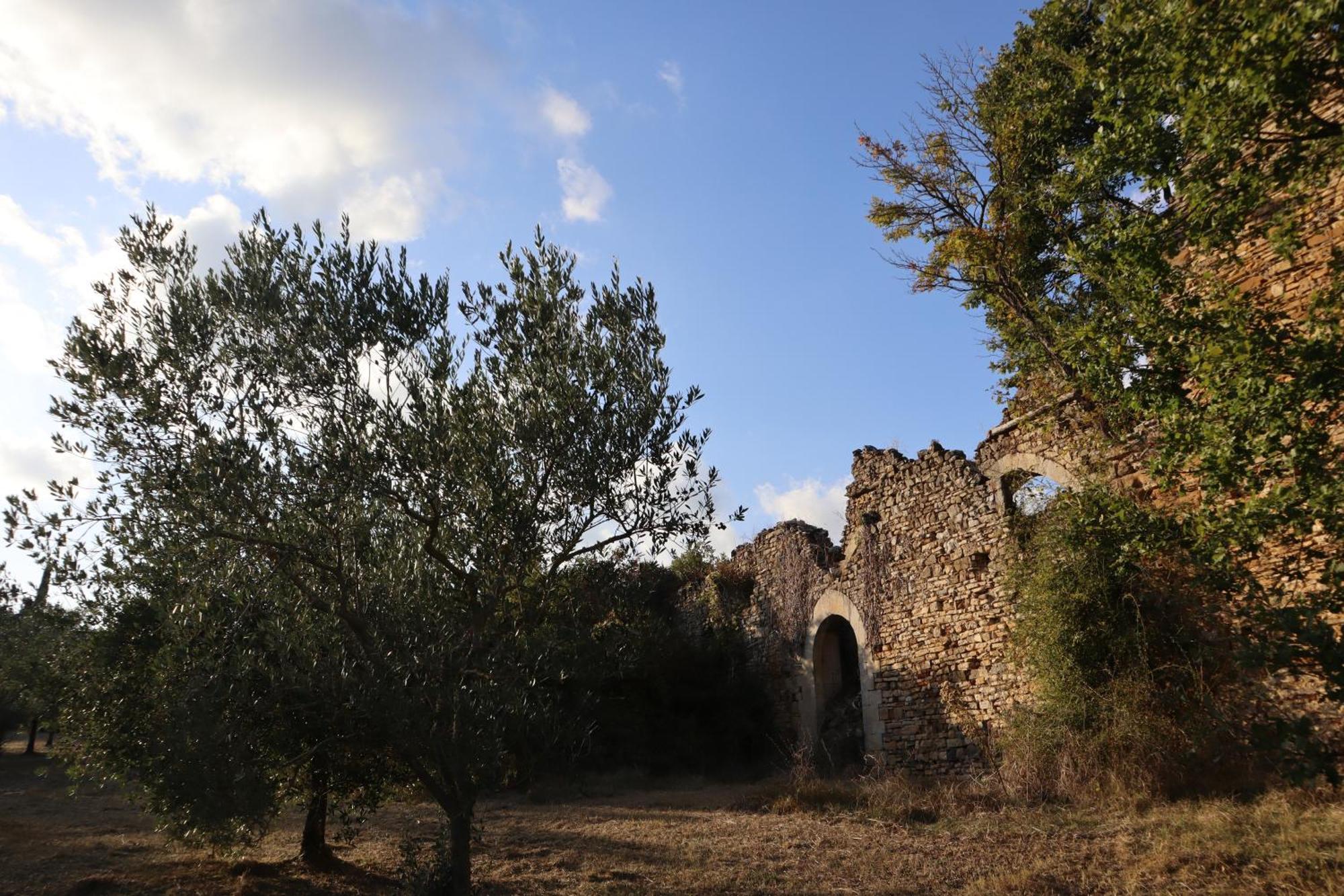 Abbadia Wine Relais Bed and Breakfast Montefollonico Buitenkant foto