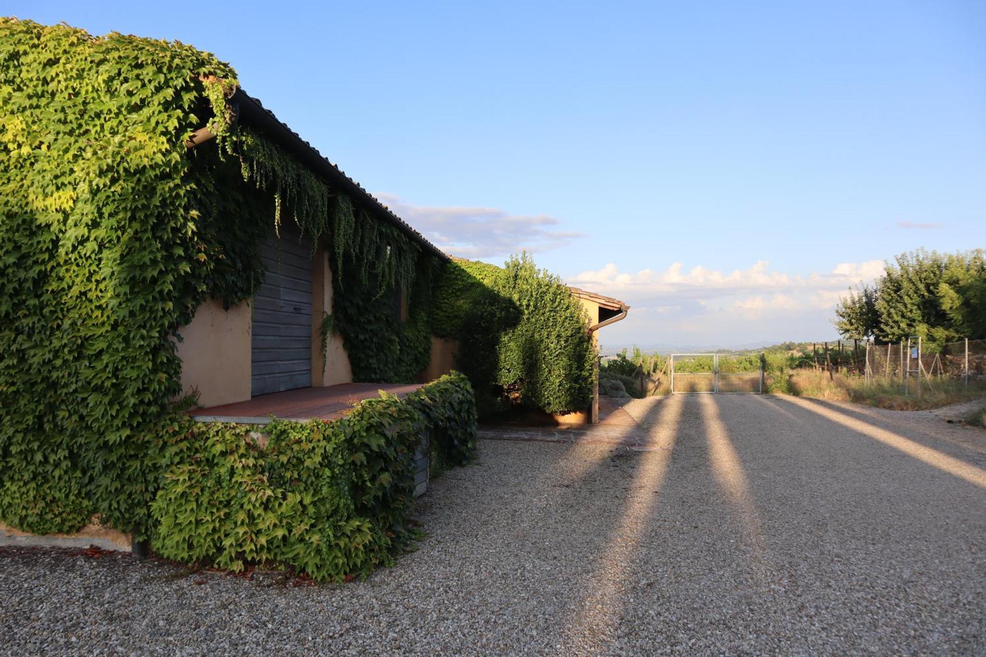 Abbadia Wine Relais Bed and Breakfast Montefollonico Buitenkant foto