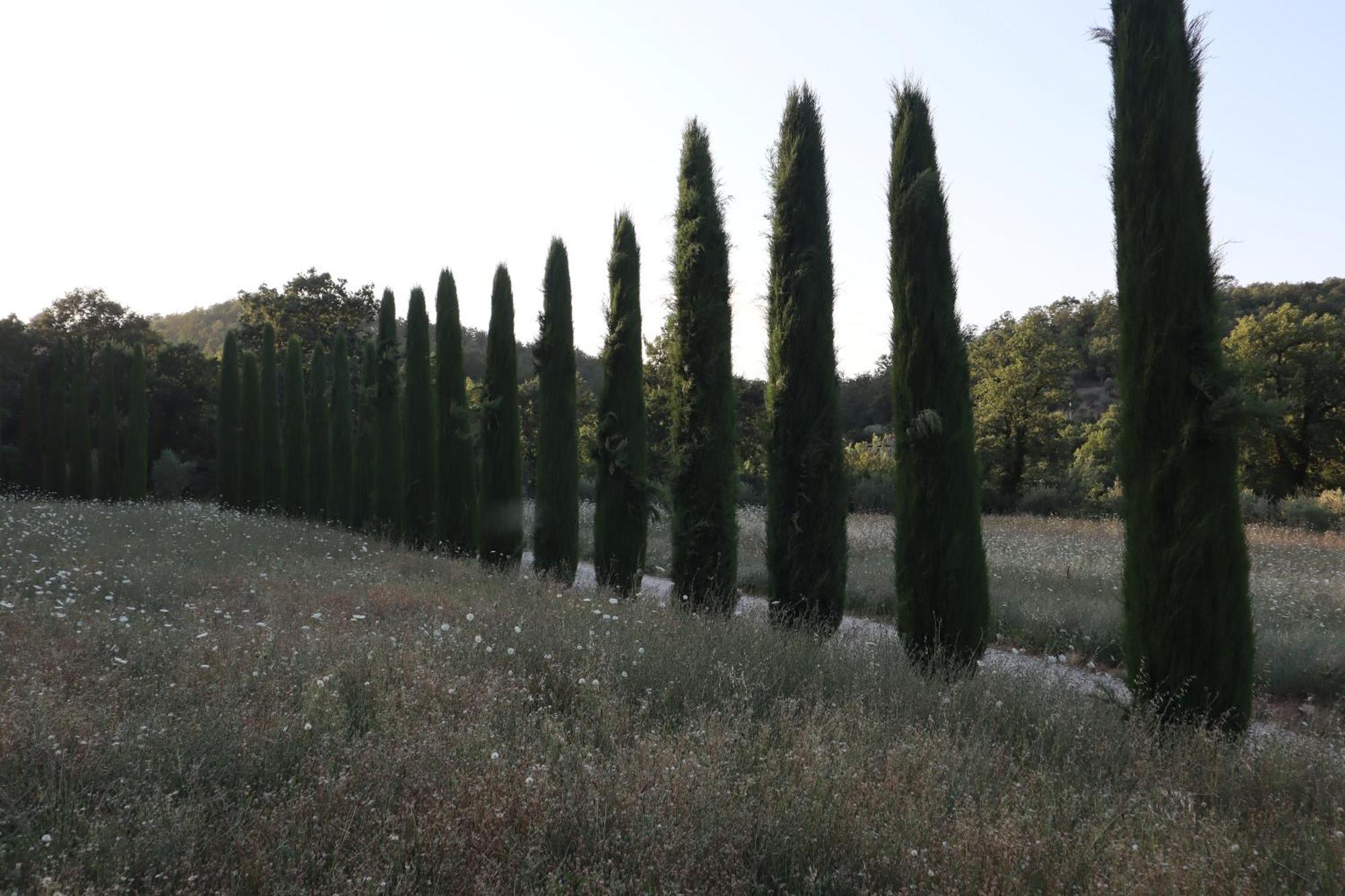 Abbadia Wine Relais Bed and Breakfast Montefollonico Buitenkant foto