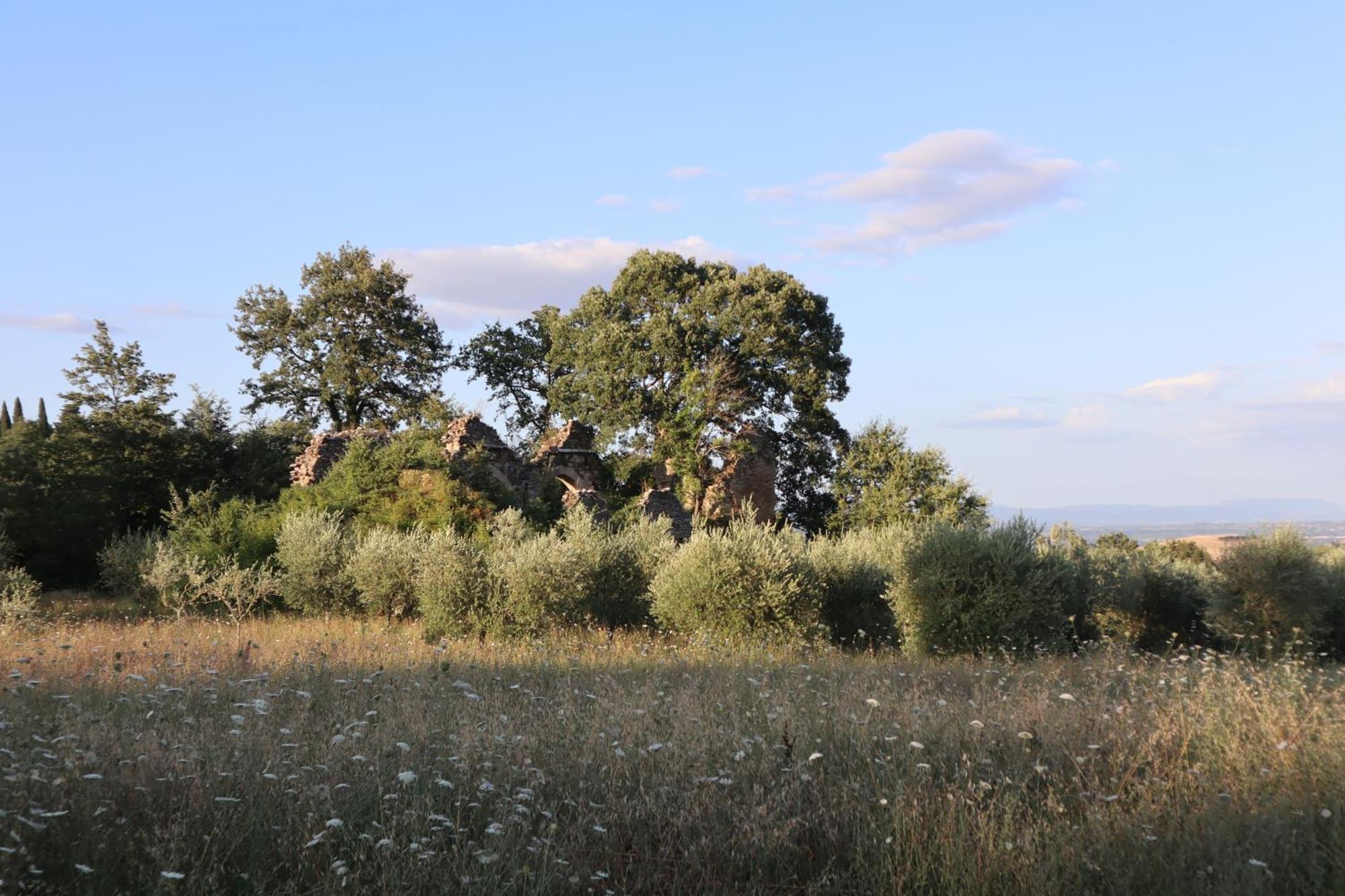 Abbadia Wine Relais Bed and Breakfast Montefollonico Buitenkant foto